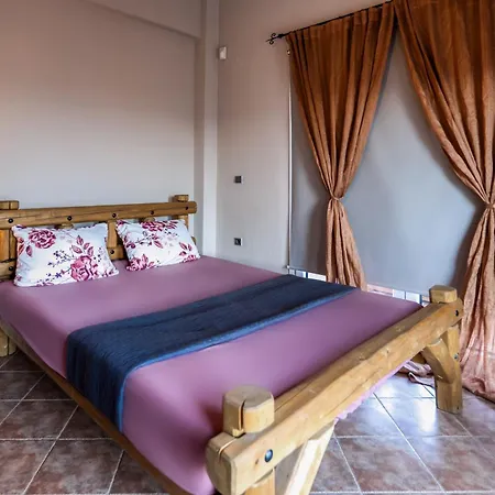 Nestor * 帕拉塔蒙