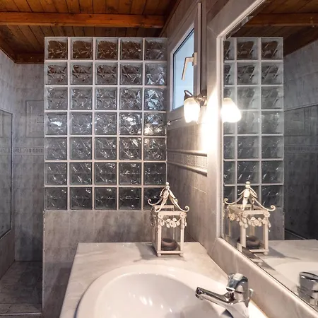 Nestor פלטמונס